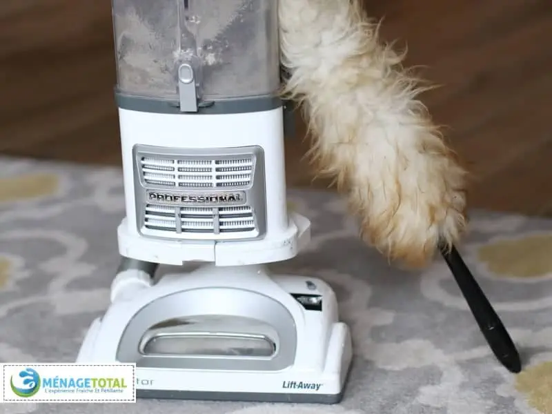 Dust and Vacuum