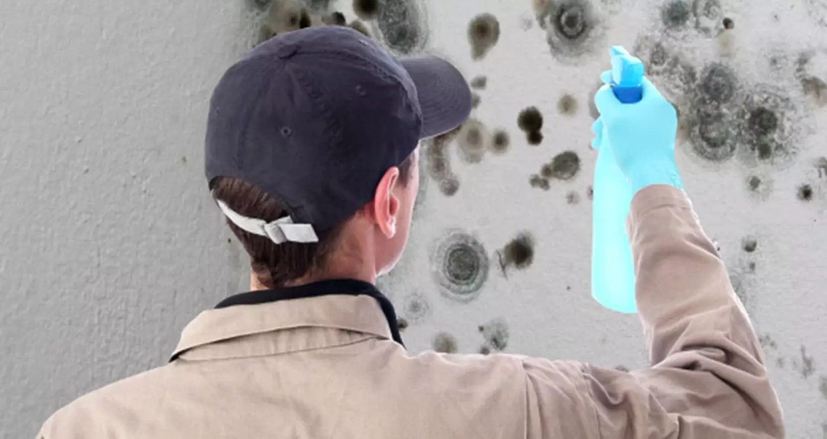 Mold cleaning services Montreal