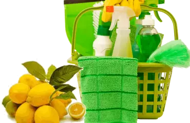 Pure Green Cleaning Services