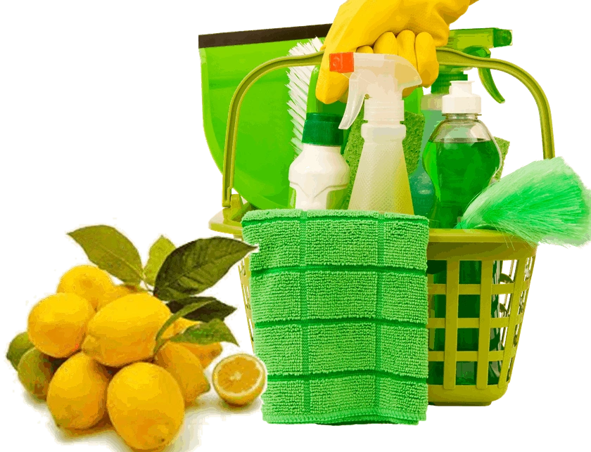 Pure Green Cleaning Services