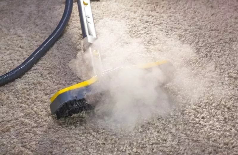 Carpet Cleaning - steam cleaning services