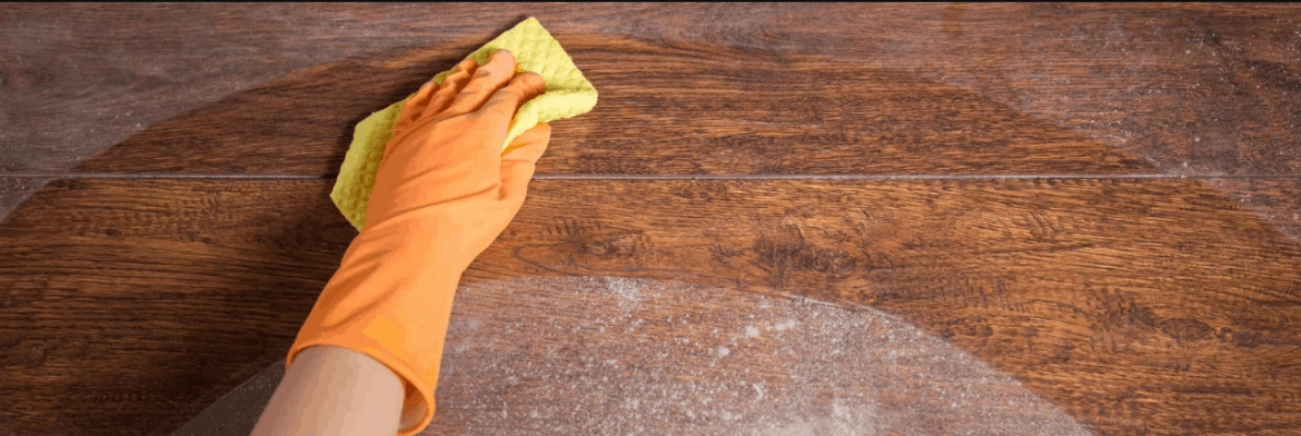 Cleaning Solutions to Get Rid of the Dust
