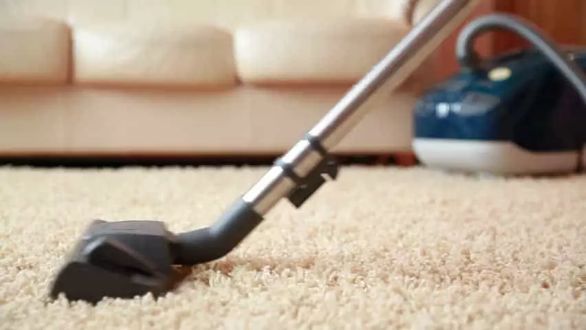 professional carpet cleaning services Longueuil