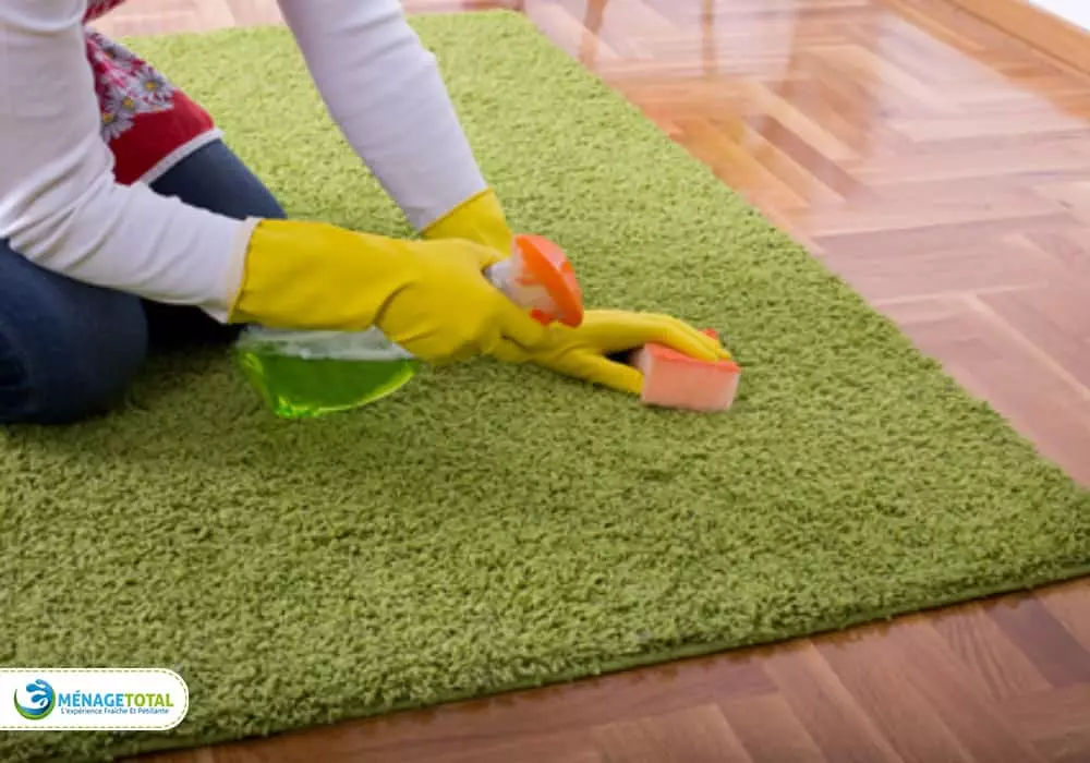 organic carpet cleaning services