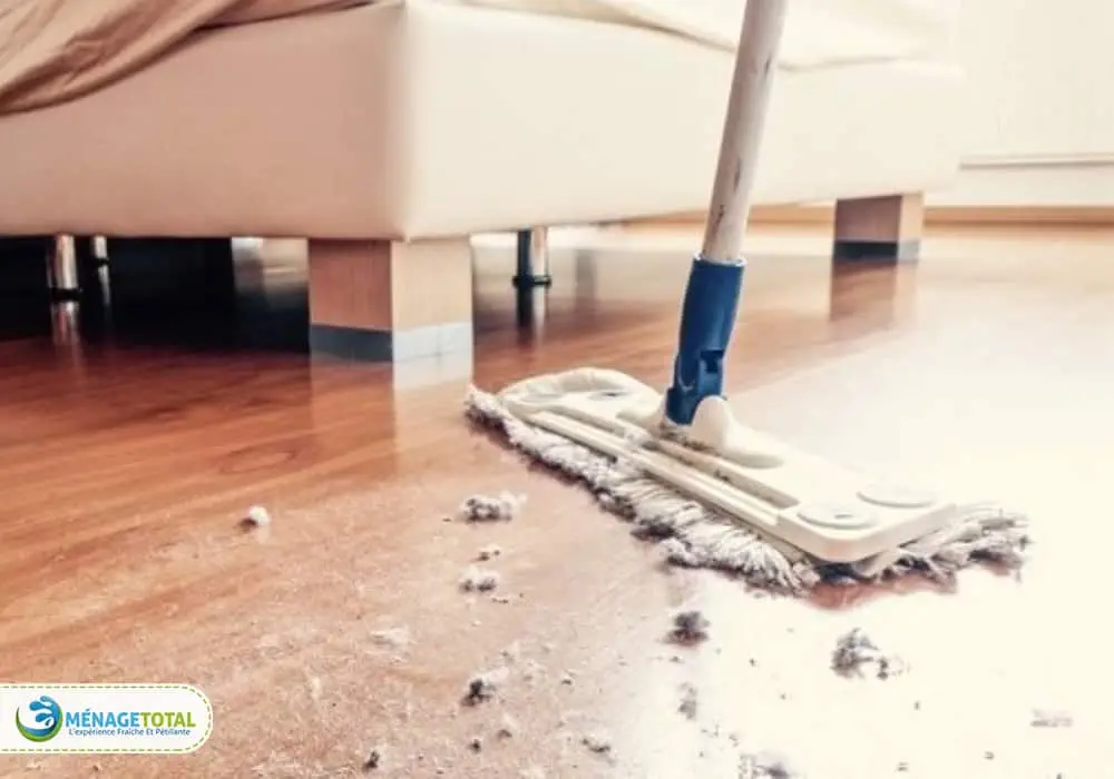 Dust Mopping and Damp Mopping