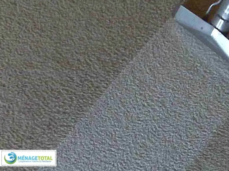 Spring Cleaning Tips Cleaning Faster 3 Deep-Cleaning-Carpet
