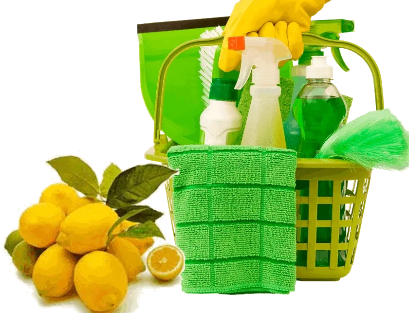 Pure Green Cleaning Services Menage Total Cleaning services